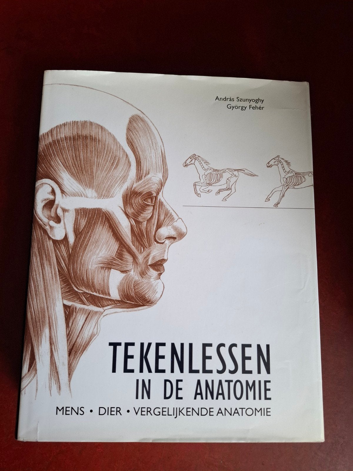 Tekenlessen in de Anatomie, Boeken, Ophalen of Verzenden, Gelezen, Overige onderwerpen, András Szunyoghy, György Fehér