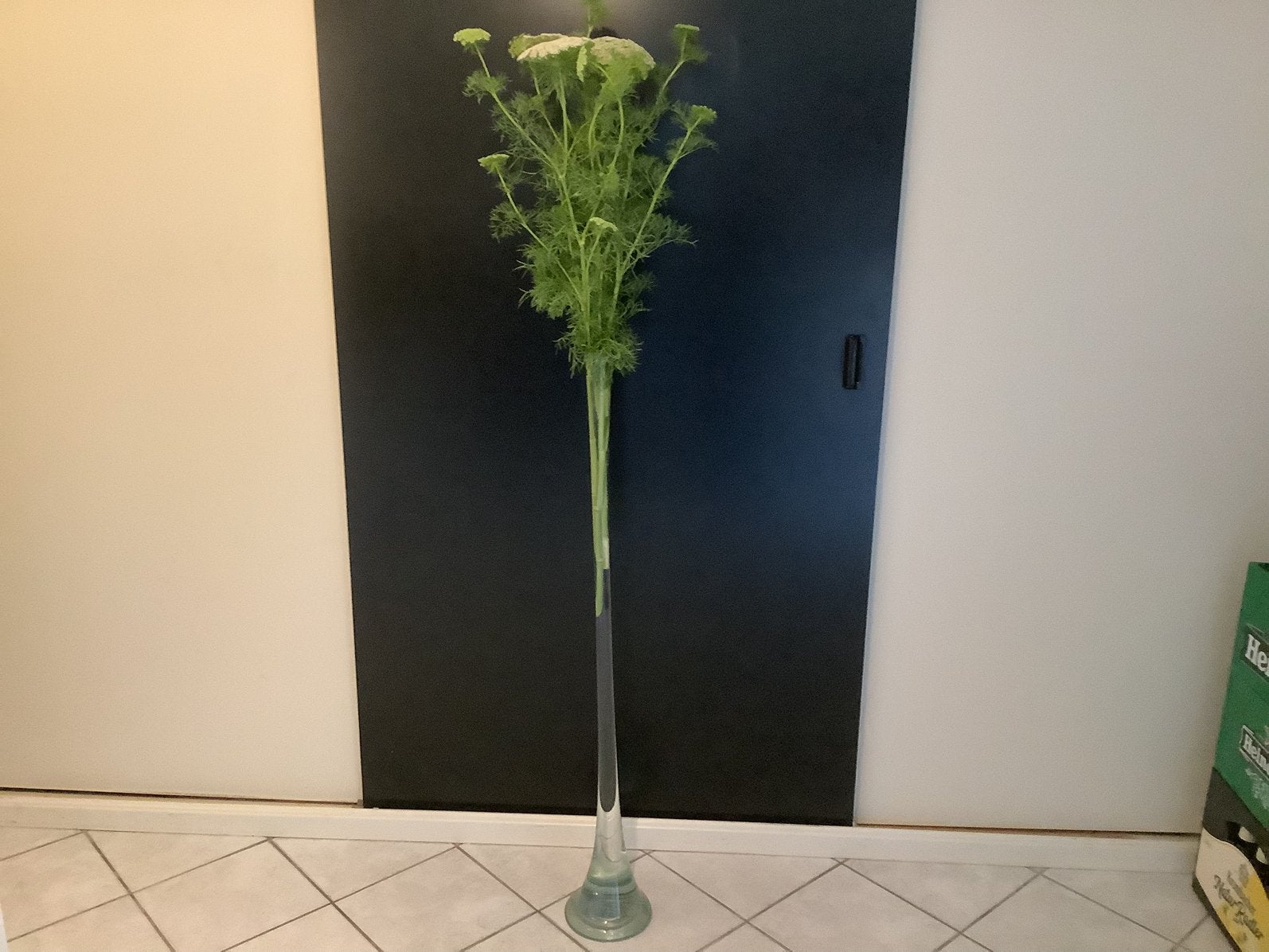 Vaas, Huis en Inrichting, Ophalen of Verzenden, Zo goed als nieuw, Minder dan 100 cm