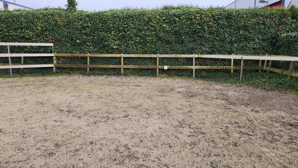 Paardrijbak, Dieren en Toebehoren