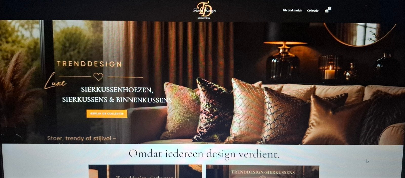 Webshop ter overname: Sierkussens, hoezen en binnenkussens