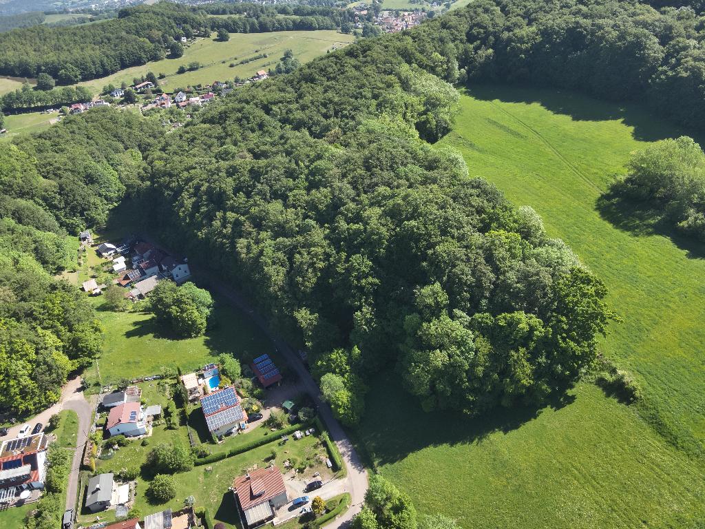 Uniek!  6.198 m² Bospercelen met Historische Objecten, Huizen en Kamers, Kavels en Percelen, Kittelsthal, 1500 m² of meer