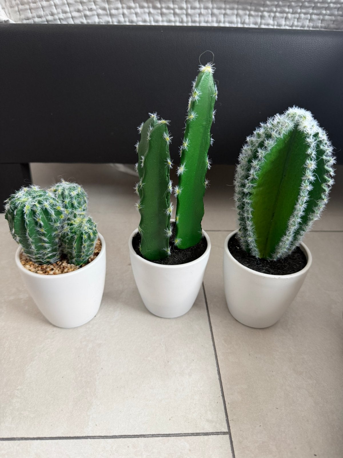 Nep plantjes, Ophalen, Halfschaduw, Minder dan 100 cm