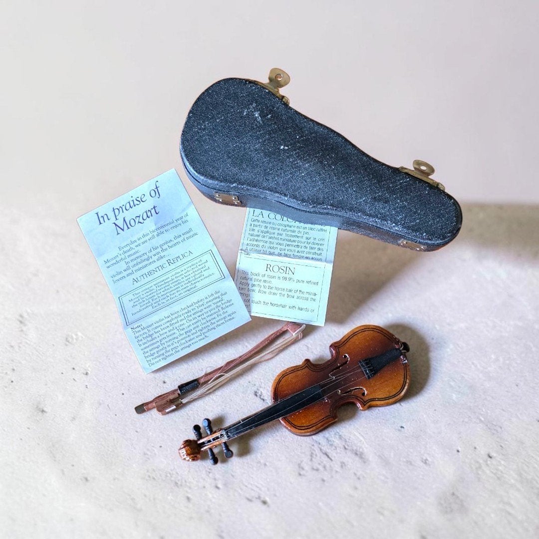 miniatuur viool in koffer, Muziek en Instrumenten, Ophalen of Verzenden, Gebruikt, 4/4-viool