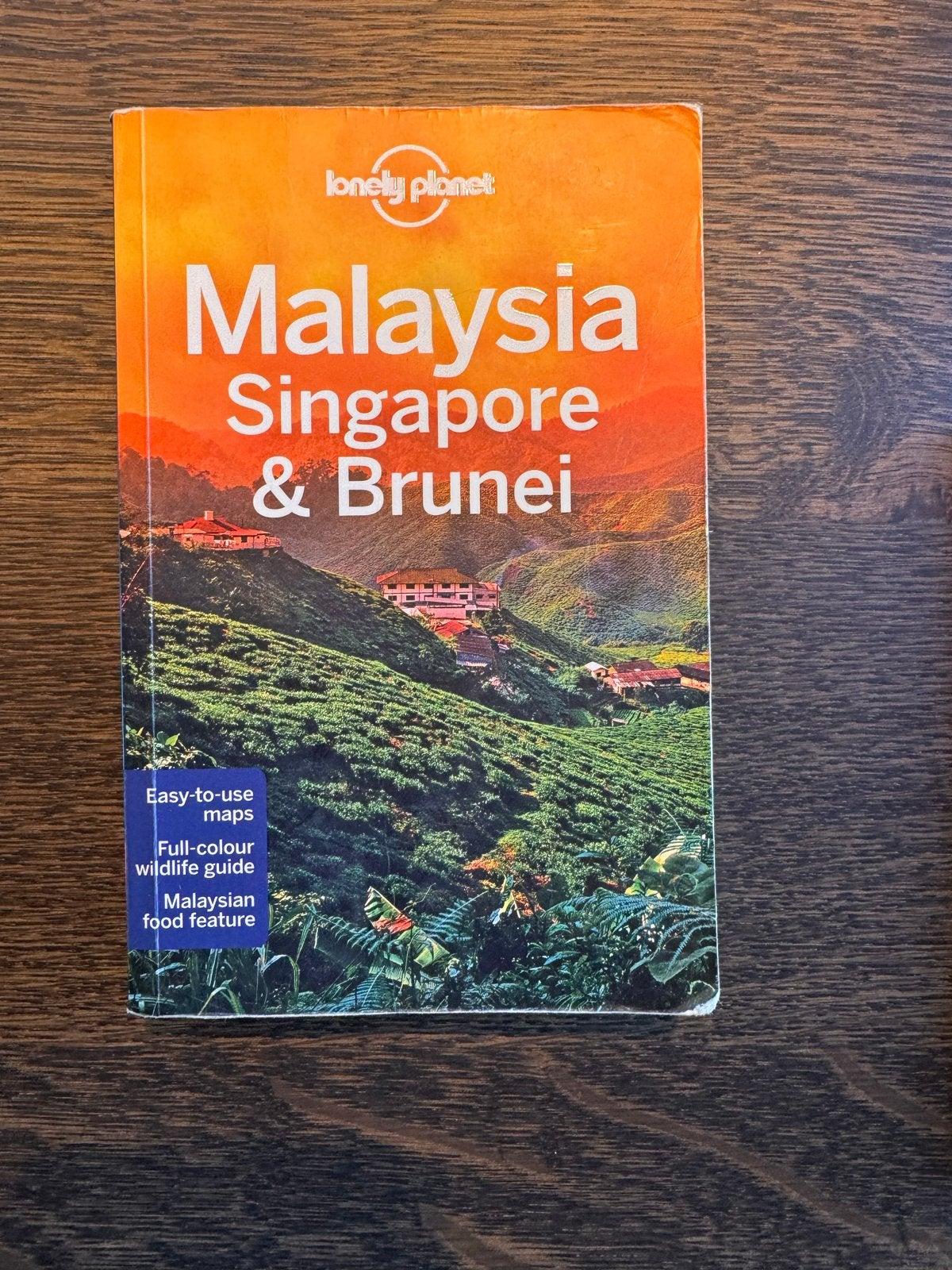 Malaysia, Singapore and Brunei -LP- 12e, Boeken, Ophalen of Verzenden, Reisgids of -boek, Azië, Gelezen