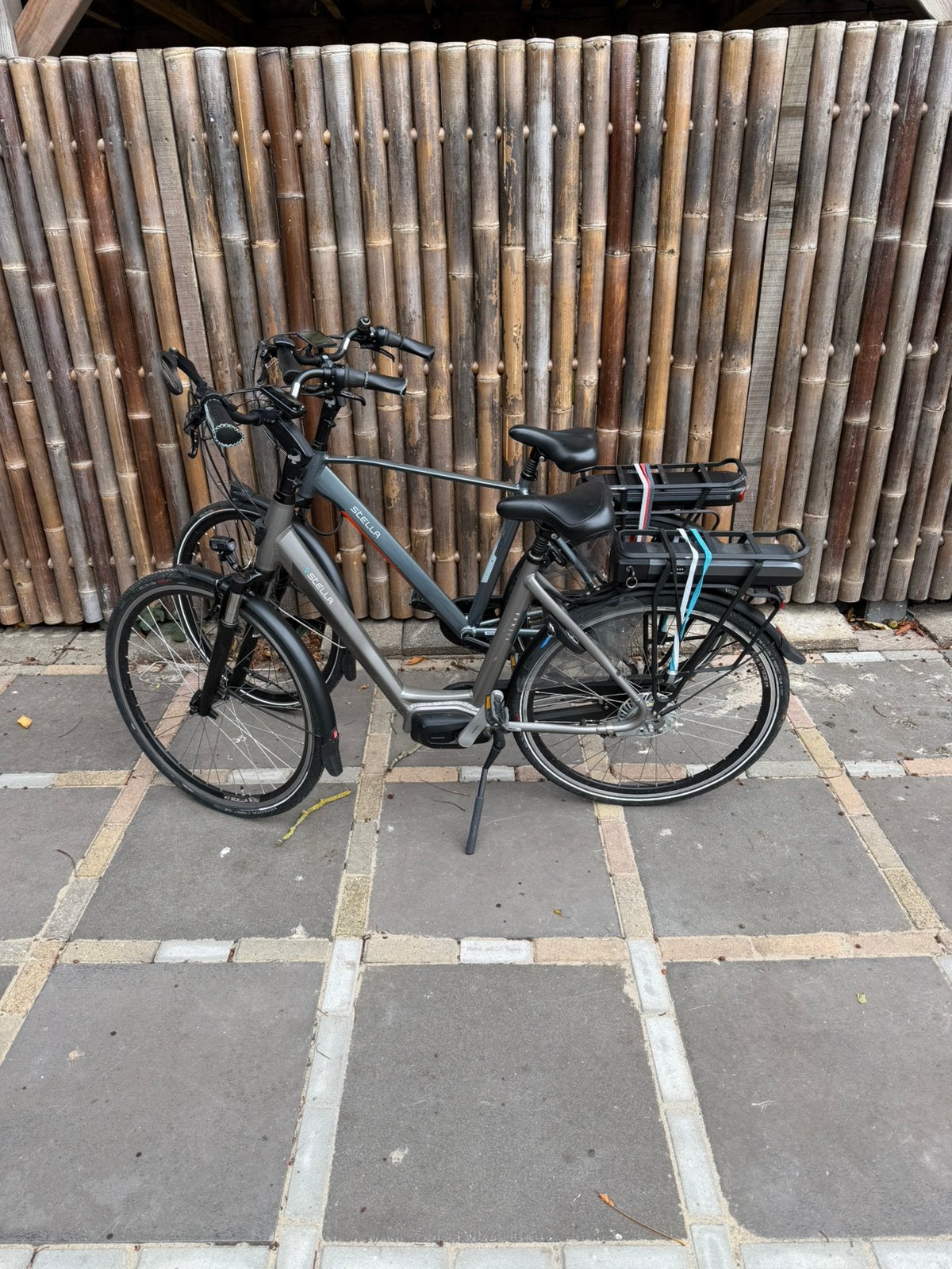 Zgan stella vienna dames en stella livorno heren Ebike’s, 51 tot 55 cm, Ophalen of Verzenden, Zo goed als nieuw, Overige merken