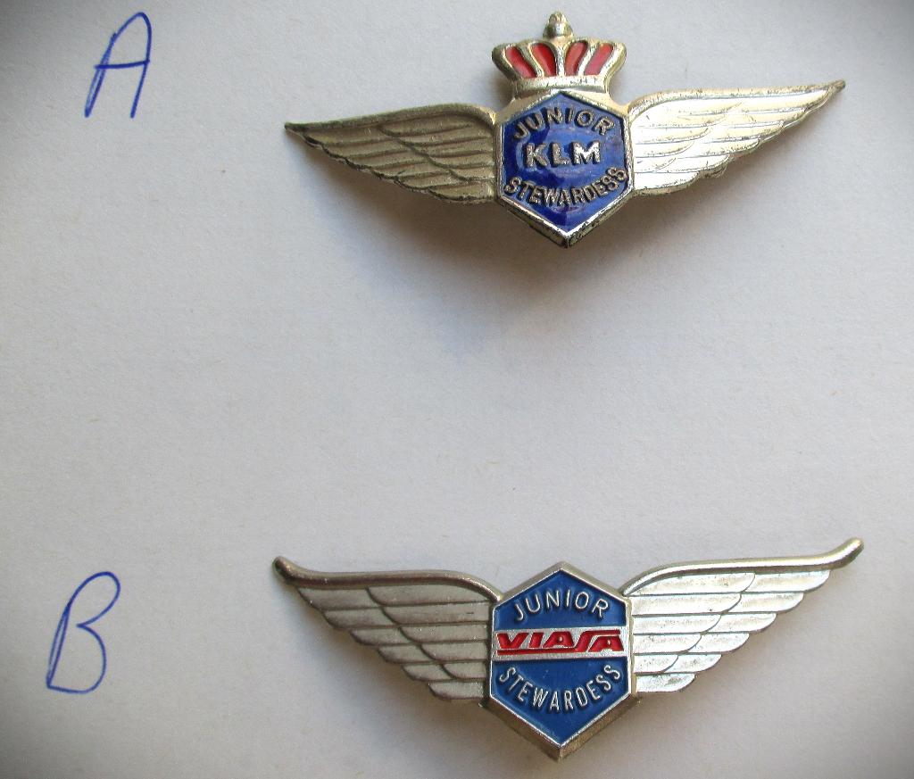 KLM Stewardess Junior Speld + Viasa Broche~Wings~Vintage, Ophalen of Verzenden, Gebruikt, Patch, Badge of Embleem