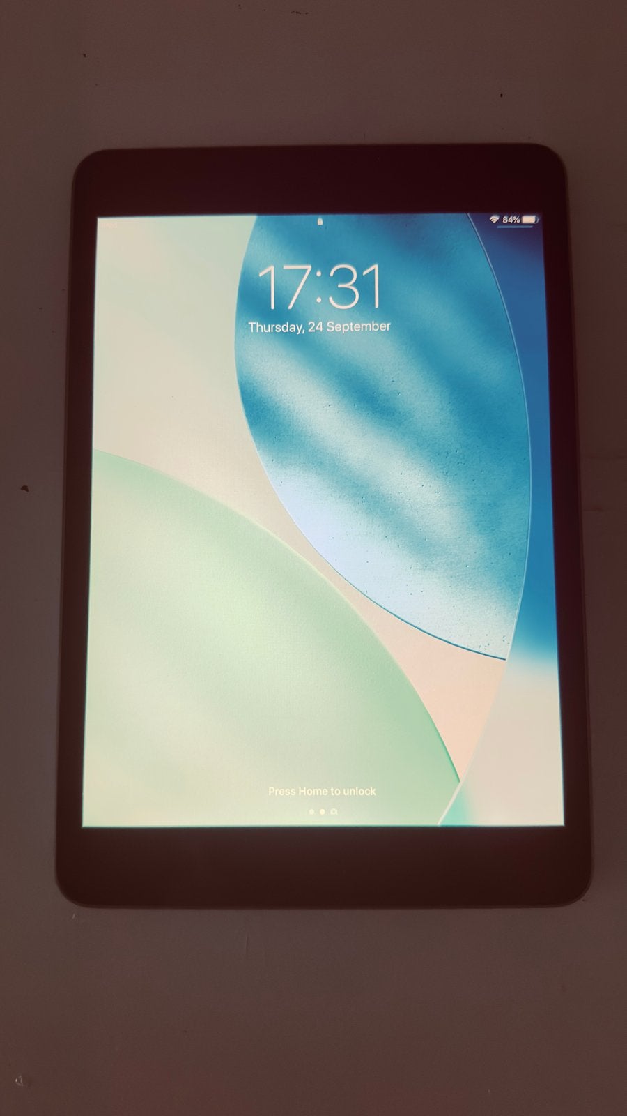 iPad mini 2014 16GB met hoes en kabel