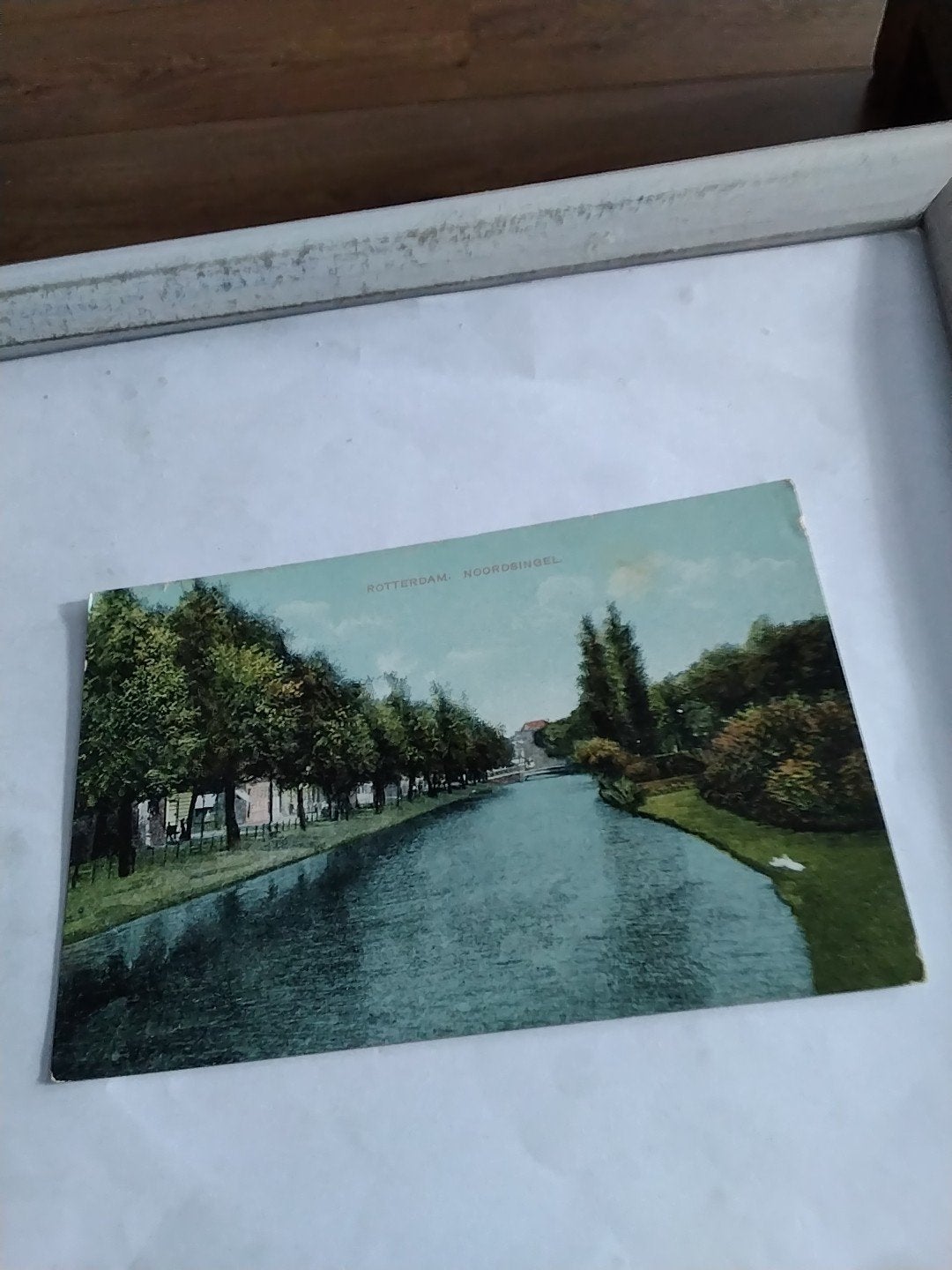 Oude Ansichtkaart Rotterdam Noordsingel - J.H. Schaefer, Ophalen of Verzenden, Voor 1920, Gelopen, Zuid-Holland