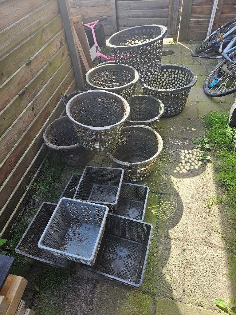 Vijvermand lelymand waterplanten, Tuin en Terras, Vijver-toebehoren, Ophalen, Zo goed als nieuw, Overige typen