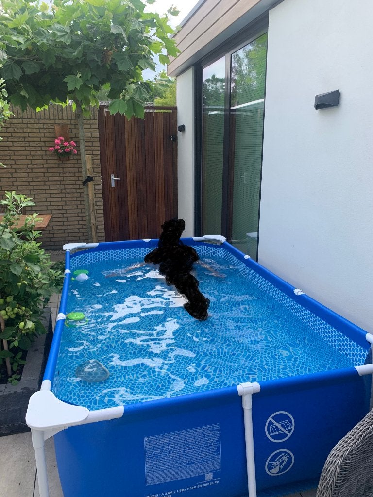 Zwembad, Nieuw, Minder dan 200 cm, Opzetzwembad, 200 tot 400 cm