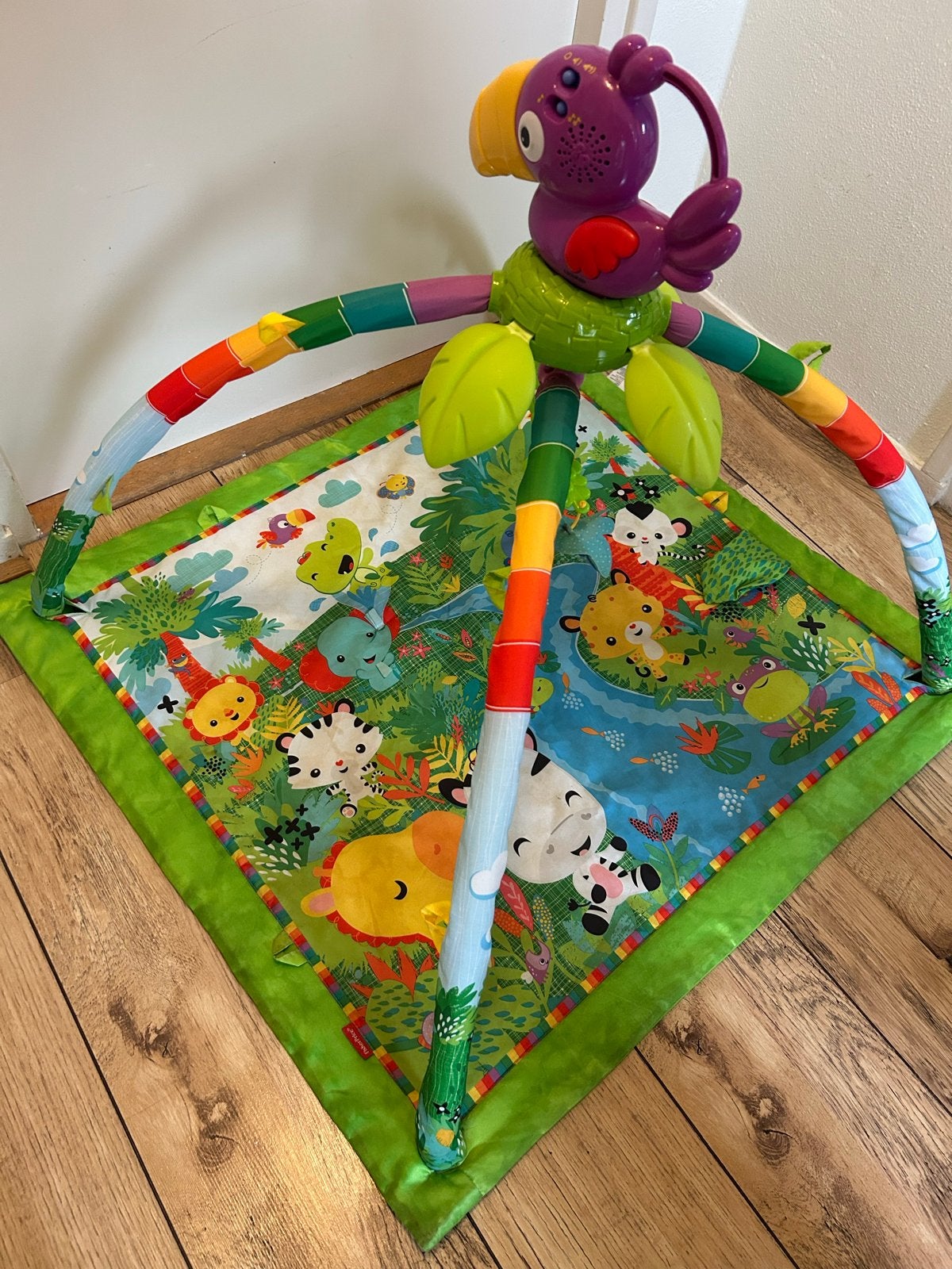 Fisher-Price Speelkleed met Babygym en Muziek, Ophalen, Zo goed als nieuw, Speelkleed, Met geluid