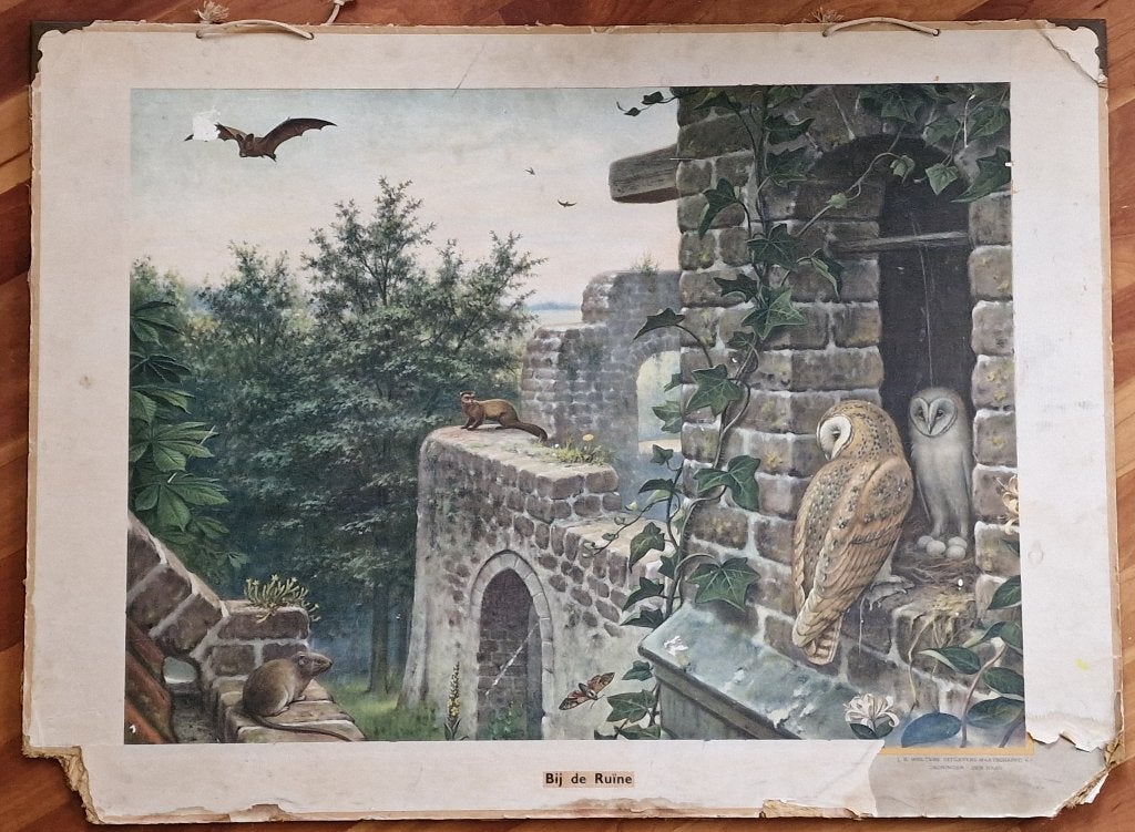 Bij de ruïne / M.A. Koekkoek, Ophalen, Geschiedenis