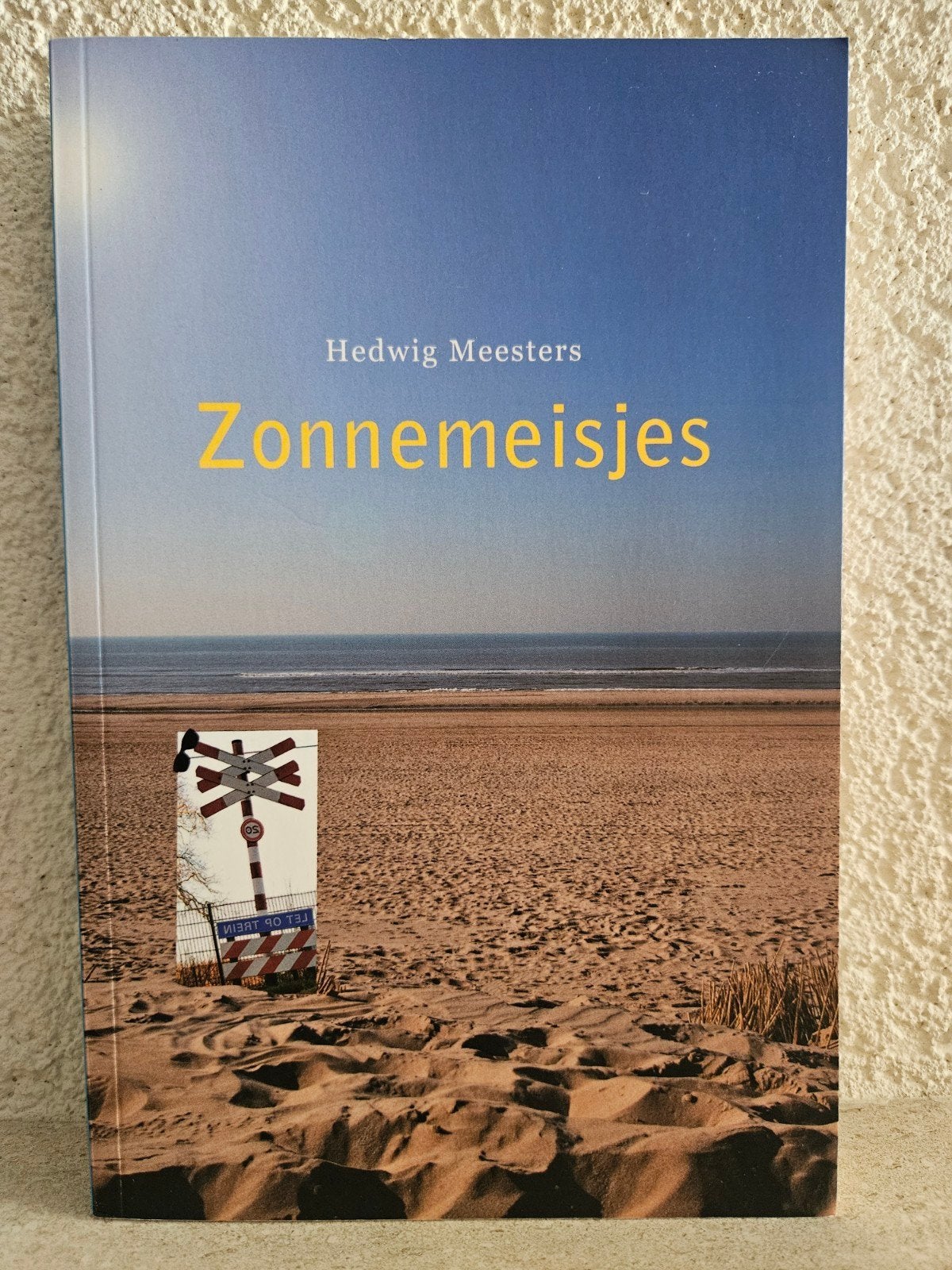 Zonnemeisjes - Hedwig Meesters (Roman), Ophalen of Verzenden, Zo goed als nieuw, Hedwig Meesters, Nederland