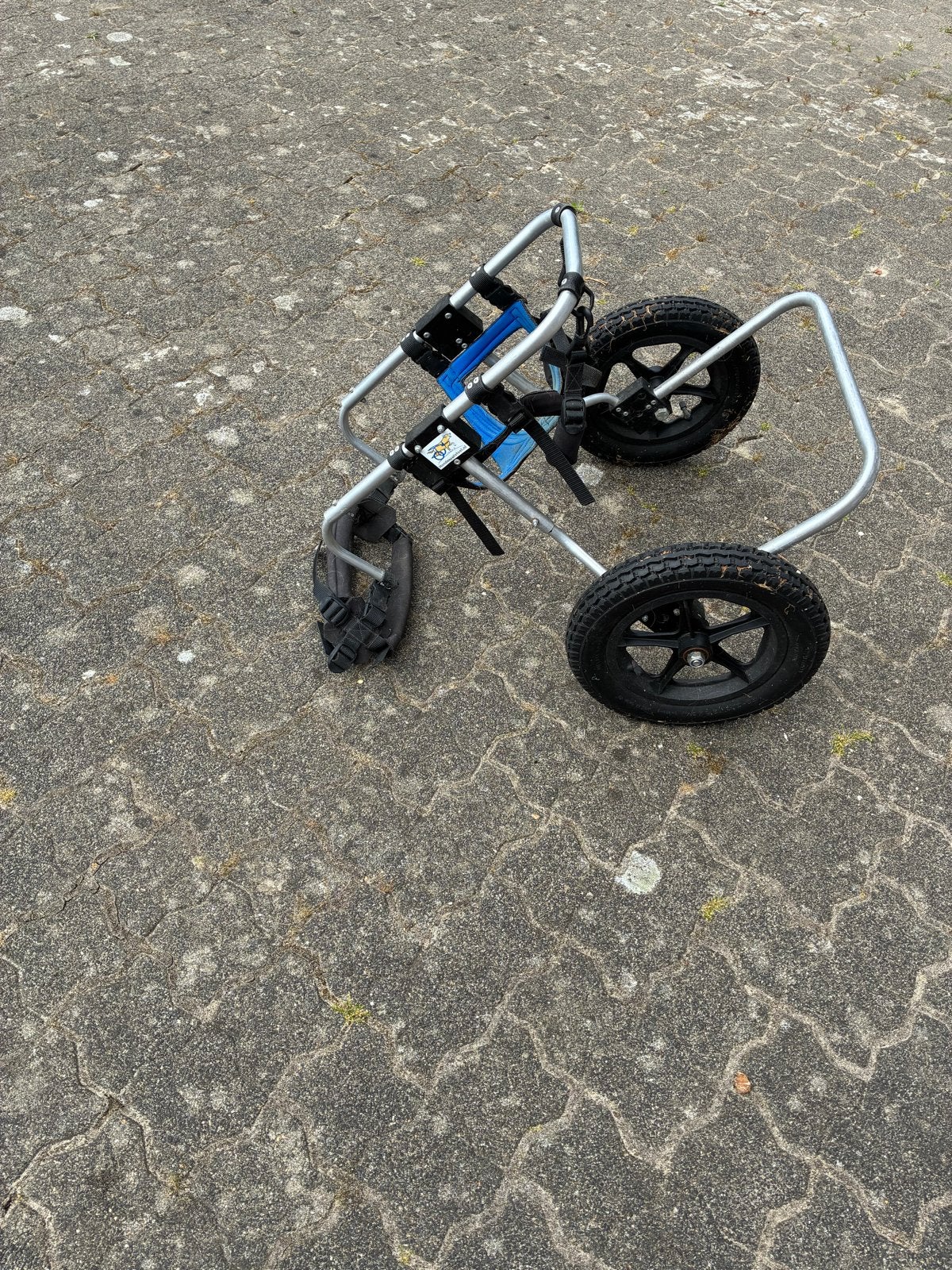 Rolstoel voor een hond: bordercollie/ friese stabij., Ophalen, Gebruikt