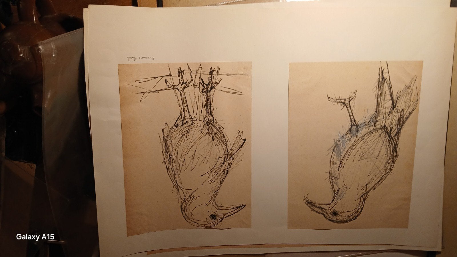 Twee originele pentekeningen van vogels, suzanne taub., Antiek en Kunst, Kunst | Tekeningen en Foto's, Ophalen of Verzenden, Tekening
