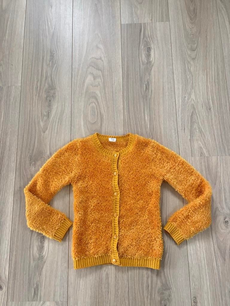 Heerlijk HEMA vestje - maat 122, Ophalen of Verzenden, Zo goed als nieuw, Meisje, Trui of Vest