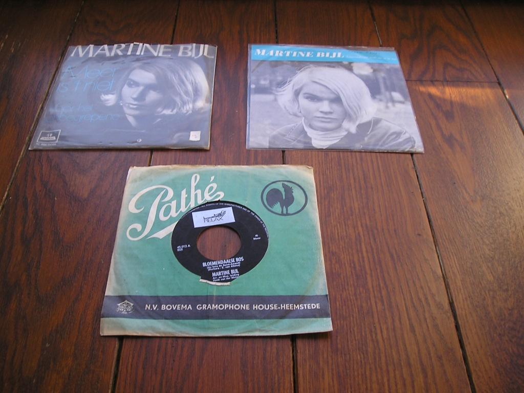 Martine bijl sixties nl, Ophalen of Verzenden, Zo goed als nieuw, Nederlandstalig