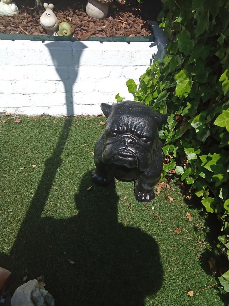 Grote bulldog polyester, Tuin en Terras, Ophalen of Verzenden, Nieuw, Kunststof