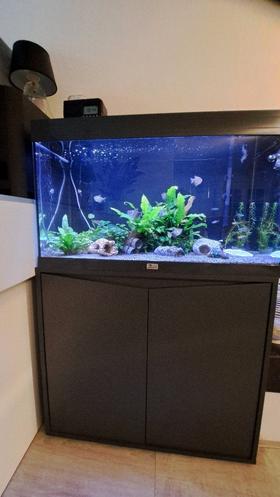 compleet aquarium, Ophalen, Aquatlantis, Inclusief vissen, Gevuld zoetwateraquarium
