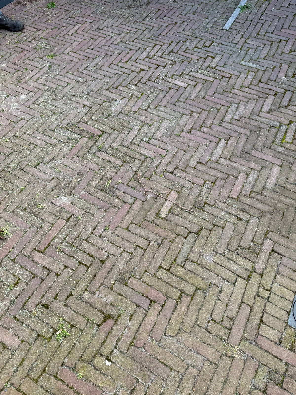 Gebruikte Klinkers - Ideaal voor Oprit of Terras, 35m2, Ophalen, Gebruikt, Klinkers, 10 m² of meer
