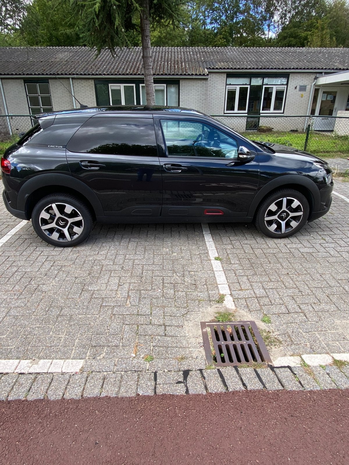 Citroën C4 Cactus 1.2 110 PK | Panorama | Camera | CarPlay, Voorwielaandrijving, Stof, 40 €/maand, 1199 cc