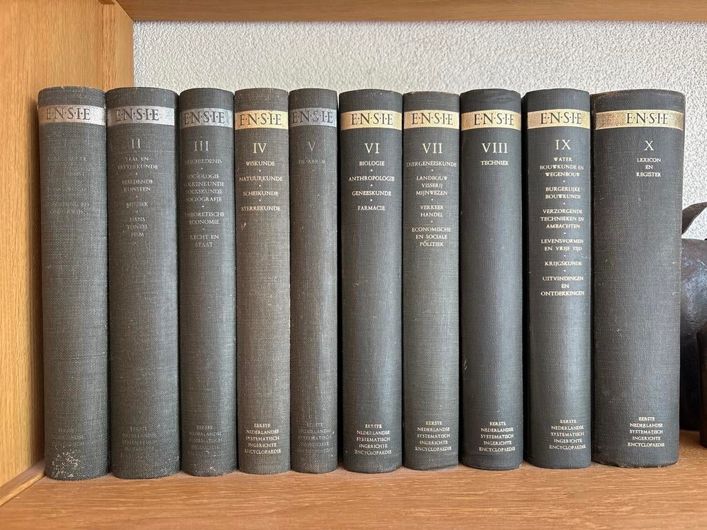 Complete set ENSIE Encyclopedie (10 delen), Boeken, Encyclopedieën, Ophalen of Verzenden, Gelezen, Algemeen, Complete serie