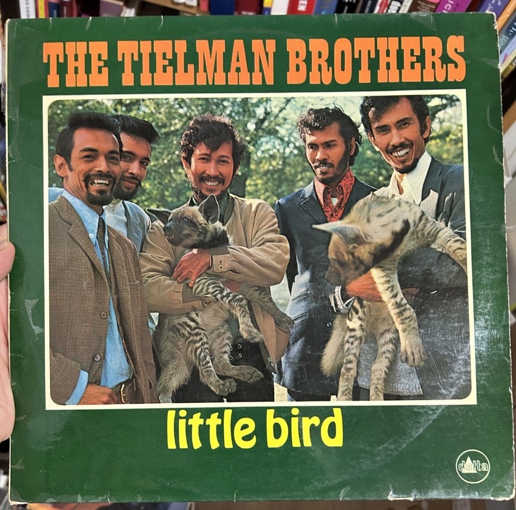 The Tielman Brothers: Little bird (lp), Cd's en Dvd's, Ophalen of Verzenden, Gebruikt, 12 inch, Poprock
