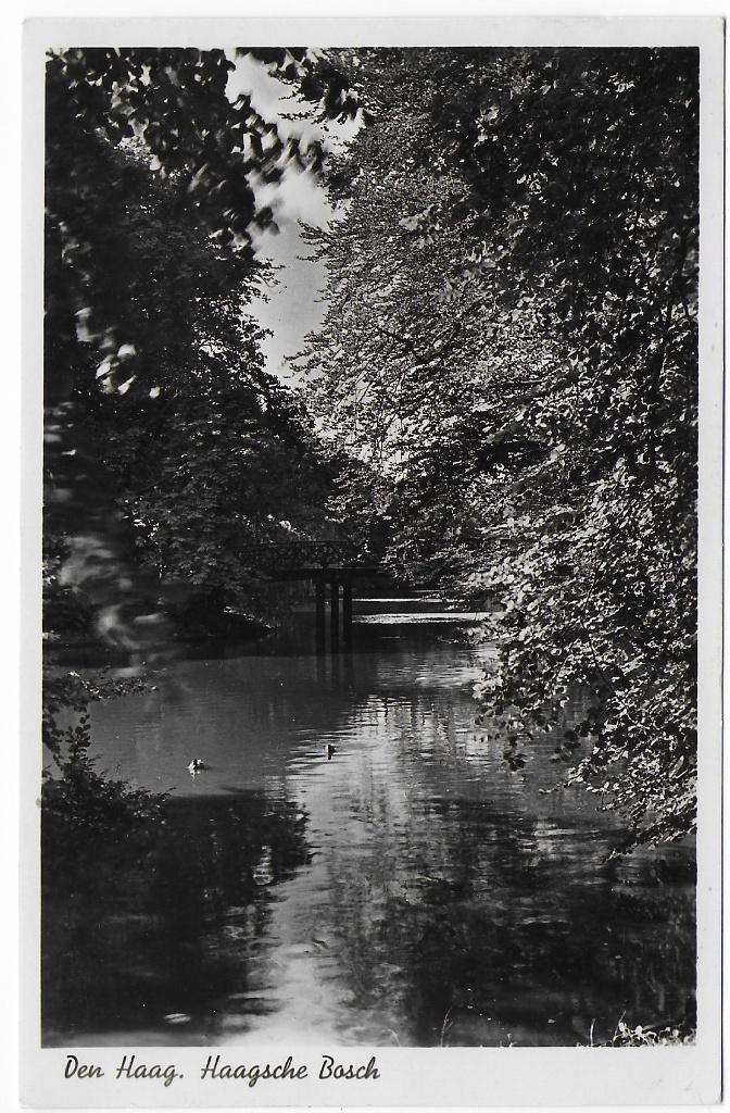 Den Haag Haagsche Boosch  Ansichtkaart uit 1922  ( B8153), Verzamelen, Ophalen of Verzenden, 1920 tot 1940, Gelopen, Zuid-Holland