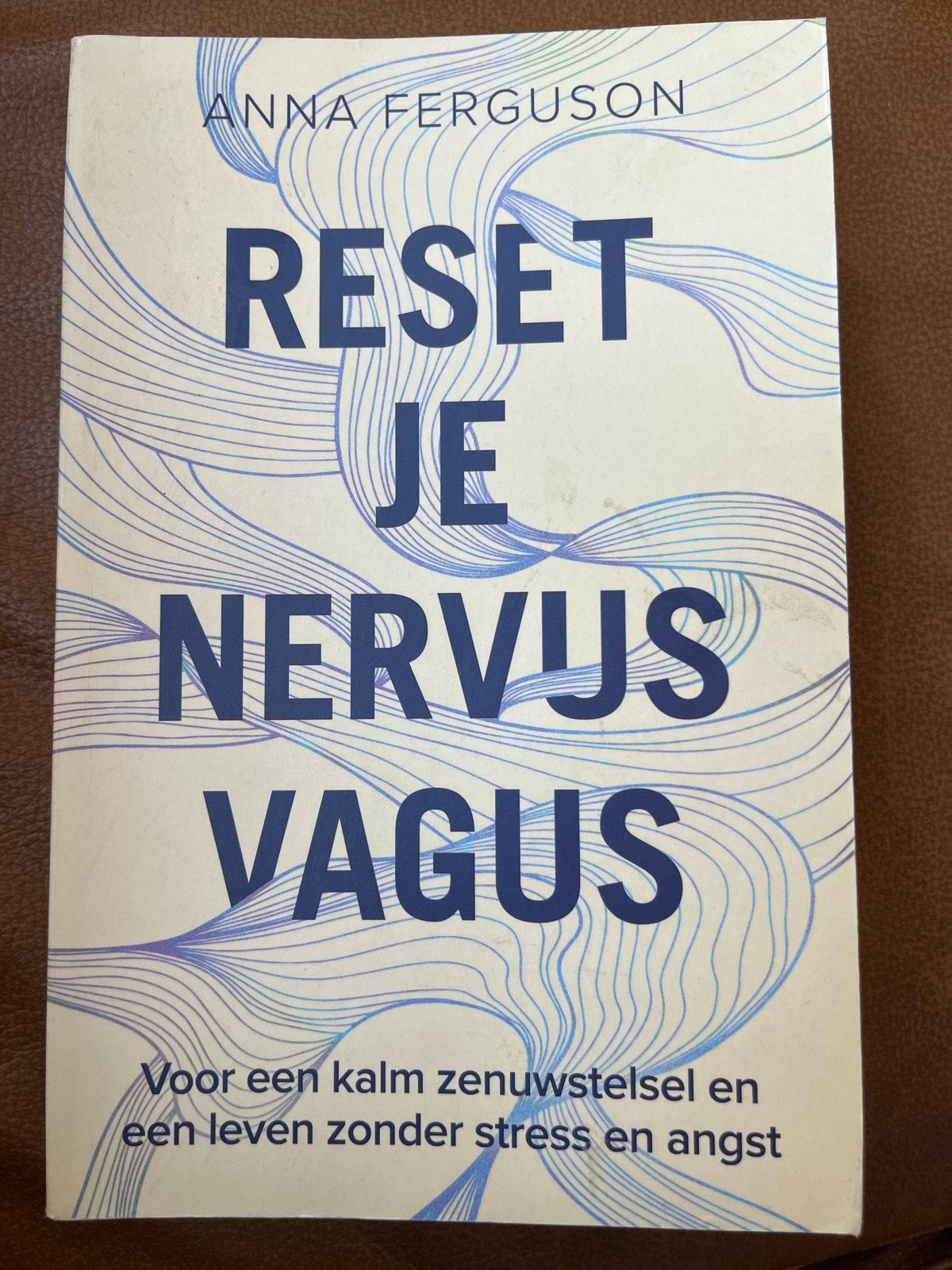 Anna Ferguson - Reset je nervus vagus, Ophalen of Verzenden, Zo goed als nieuw, Anna Ferguson