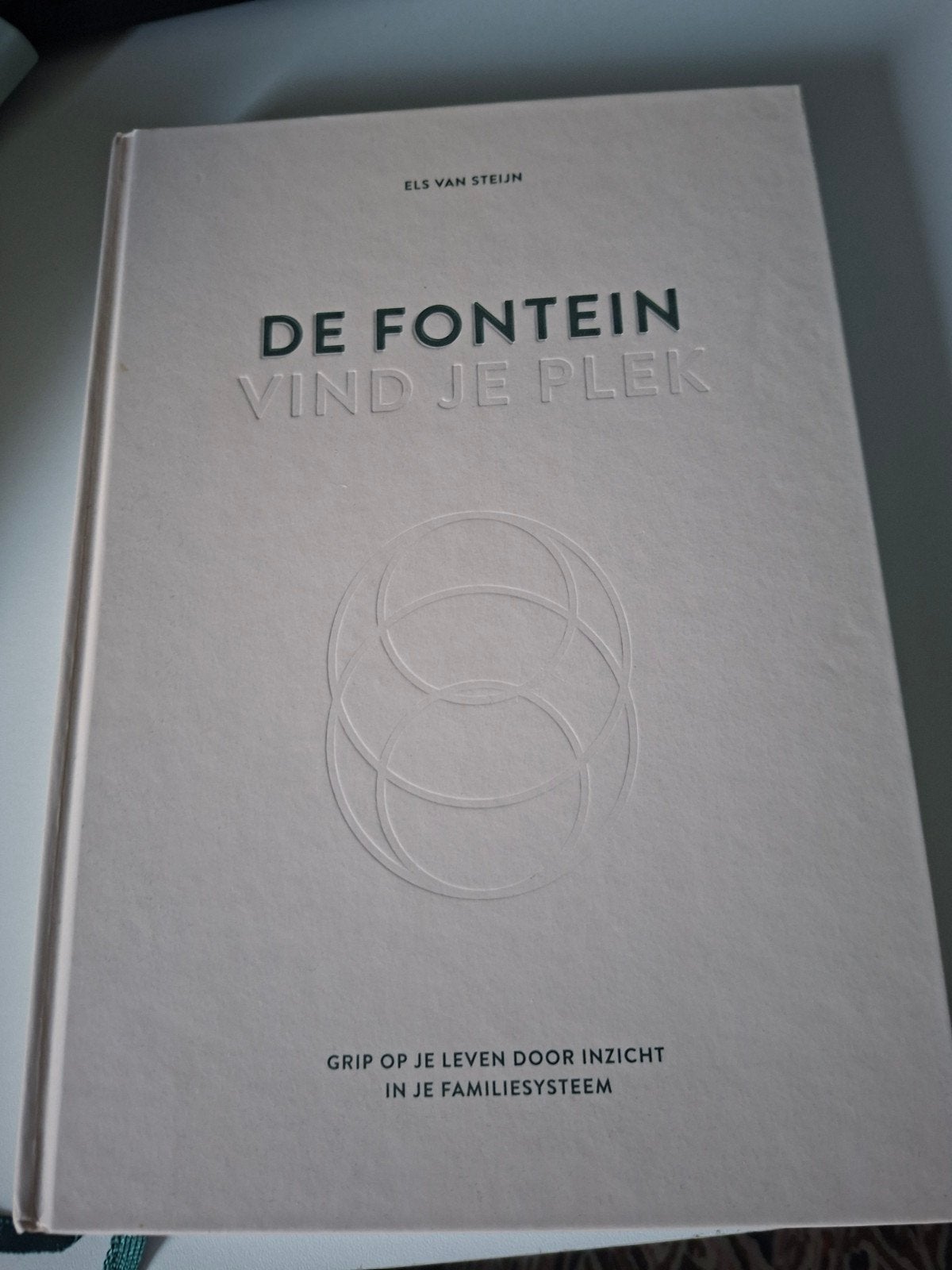 De Fontein: Vind je plek - Els van Steijn (Nieuw), Boeken, Ophalen of Verzenden