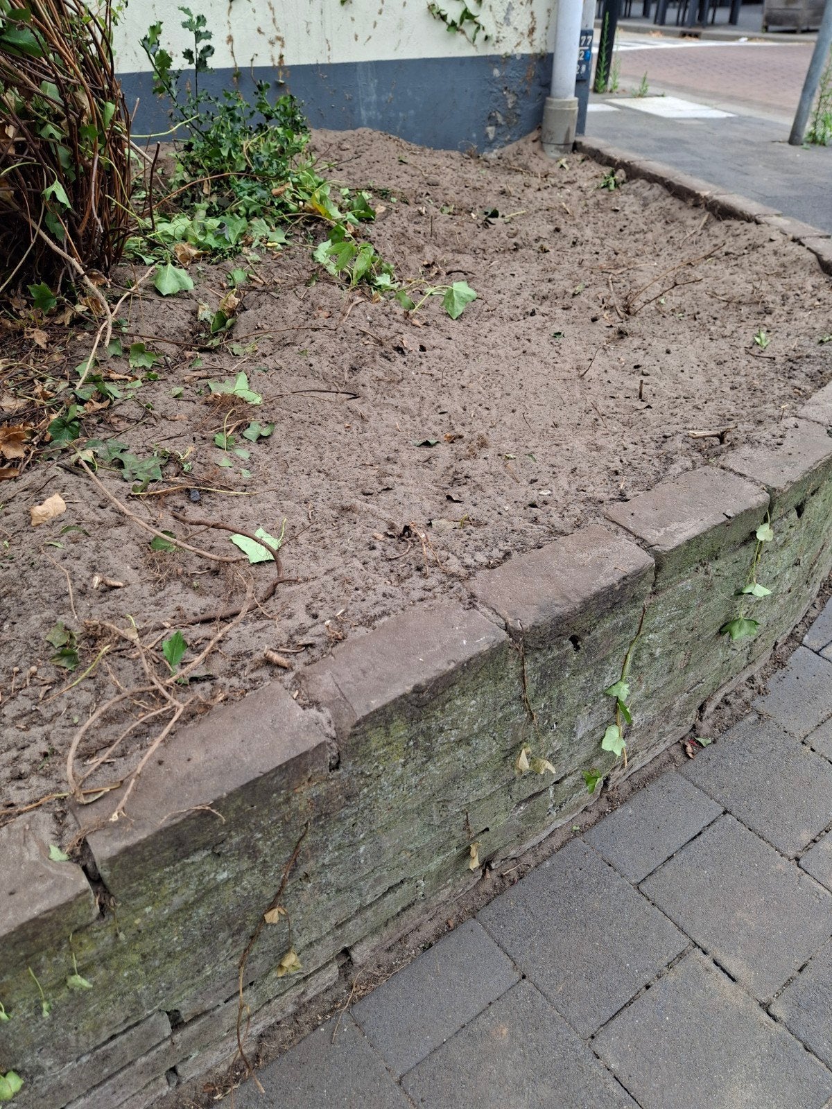 gratis grond Ophoogzand / Tuinaarde, Tuin en Terras, Ophalen, Gebruikt, Ophoogzand