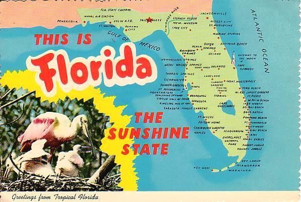 Ansichtkaart	Florida (USA)	Lepelaar	Sunshine State, Verzamelen, Verzenden, 1960 tot 1980, Ongelopen, Buiten Europa