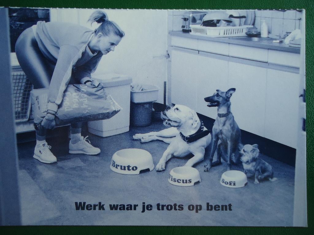 (314) Dierenkaart: HONDEN, Ophalen of Verzenden, 1980 tot heden, Ongelopen, Hond of Kat