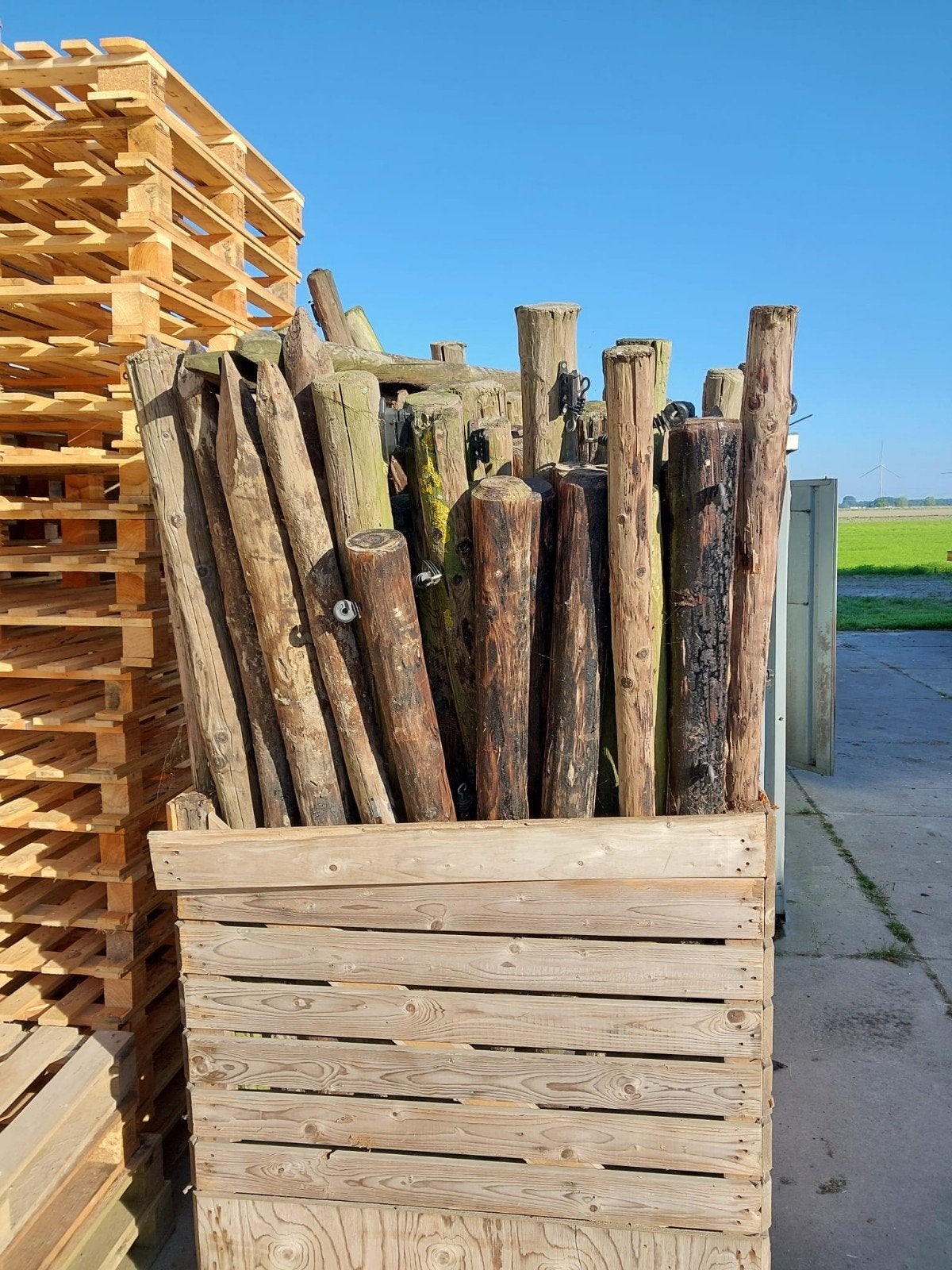Houten weide palen, Weidegang
