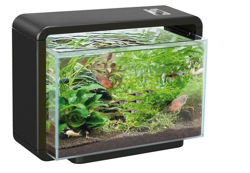Aquarium incl toebehoren, Ophalen, Gebruikt, Leeg aquarium, Superfish