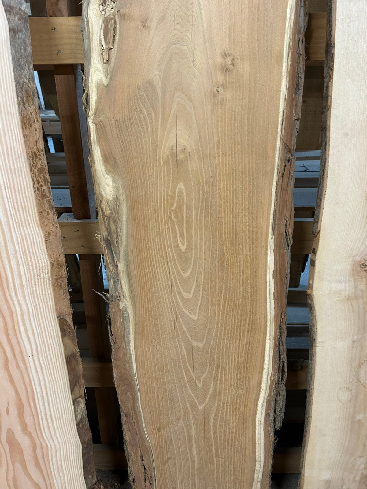 Nr 172/ robinia boomstamblad ca 5x40x230cm, Ophalen, Nieuw, 180 tot 250 cm, Planken