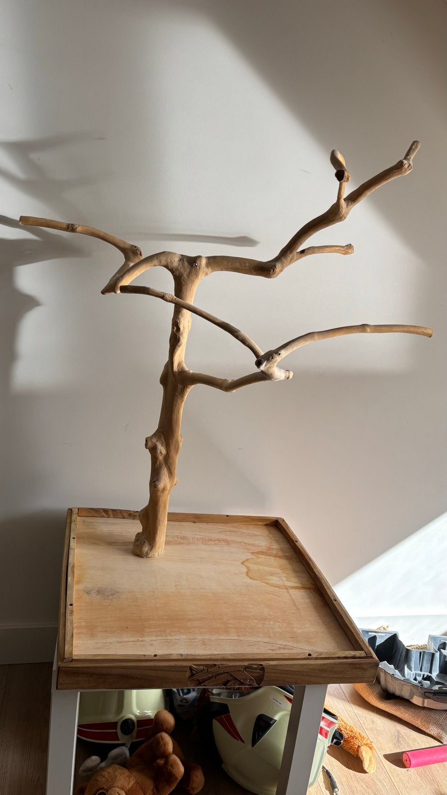 Koffie houten boom voor papegaai / kaketoe, Dieren en Toebehoren