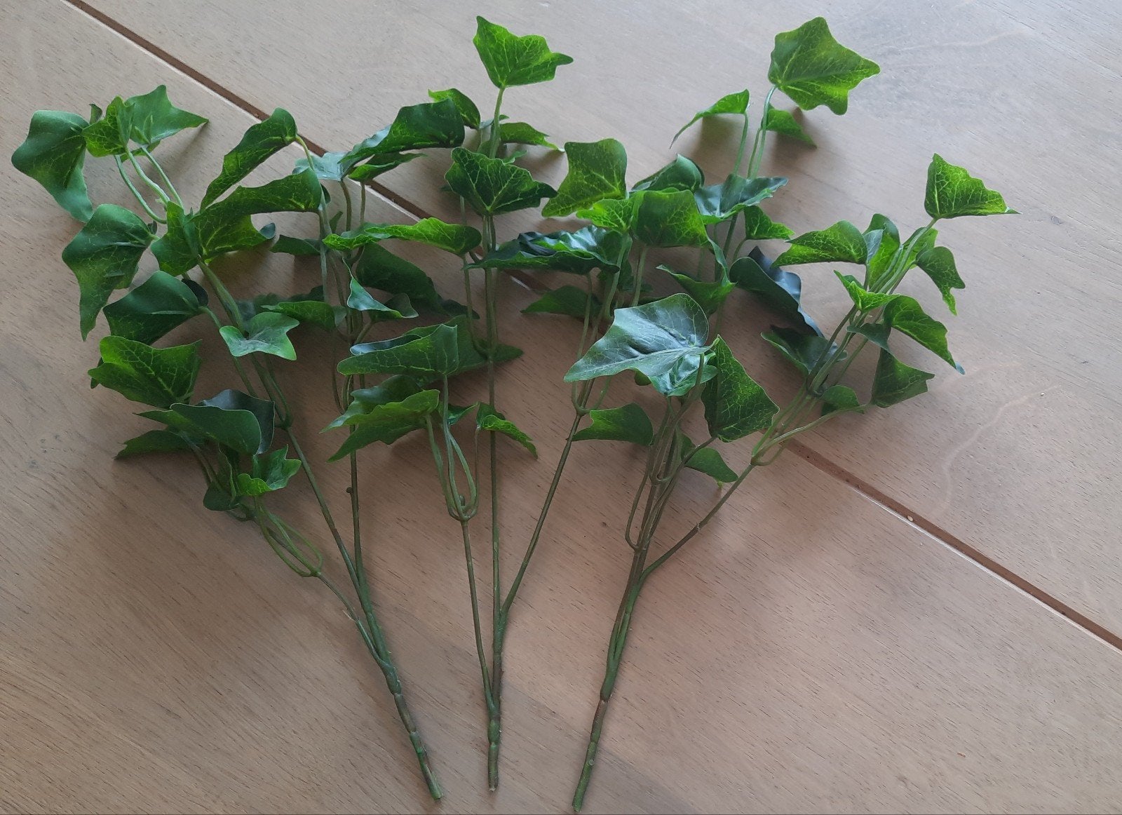 Hedera, Ophalen, Zo goed als nieuw