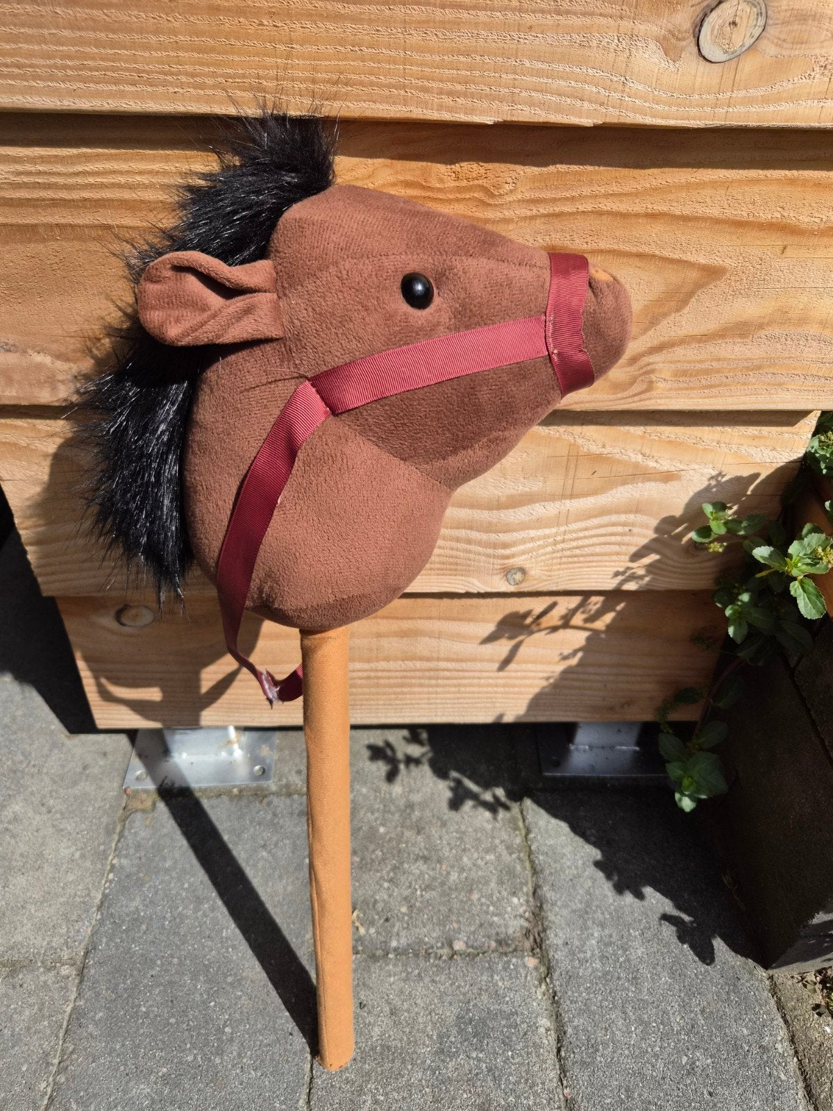 Hobby Horse (stokpaard), Ophalen, Gebruikt, Jongen of Meisje