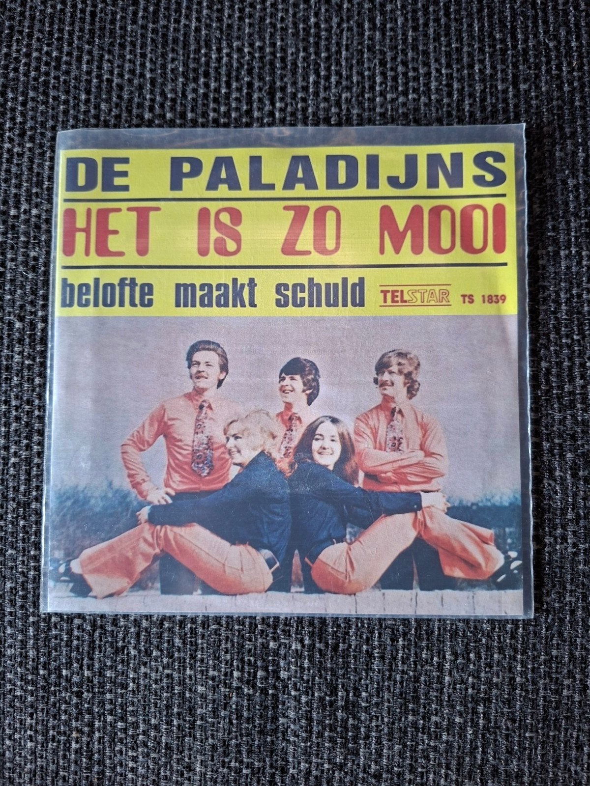 de paladijns het is zo mooi / belofte maakt schuld
Herpers v, Ophalen of Verzenden, Zo goed als nieuw, Overige formaten, Levenslied of Smartlap