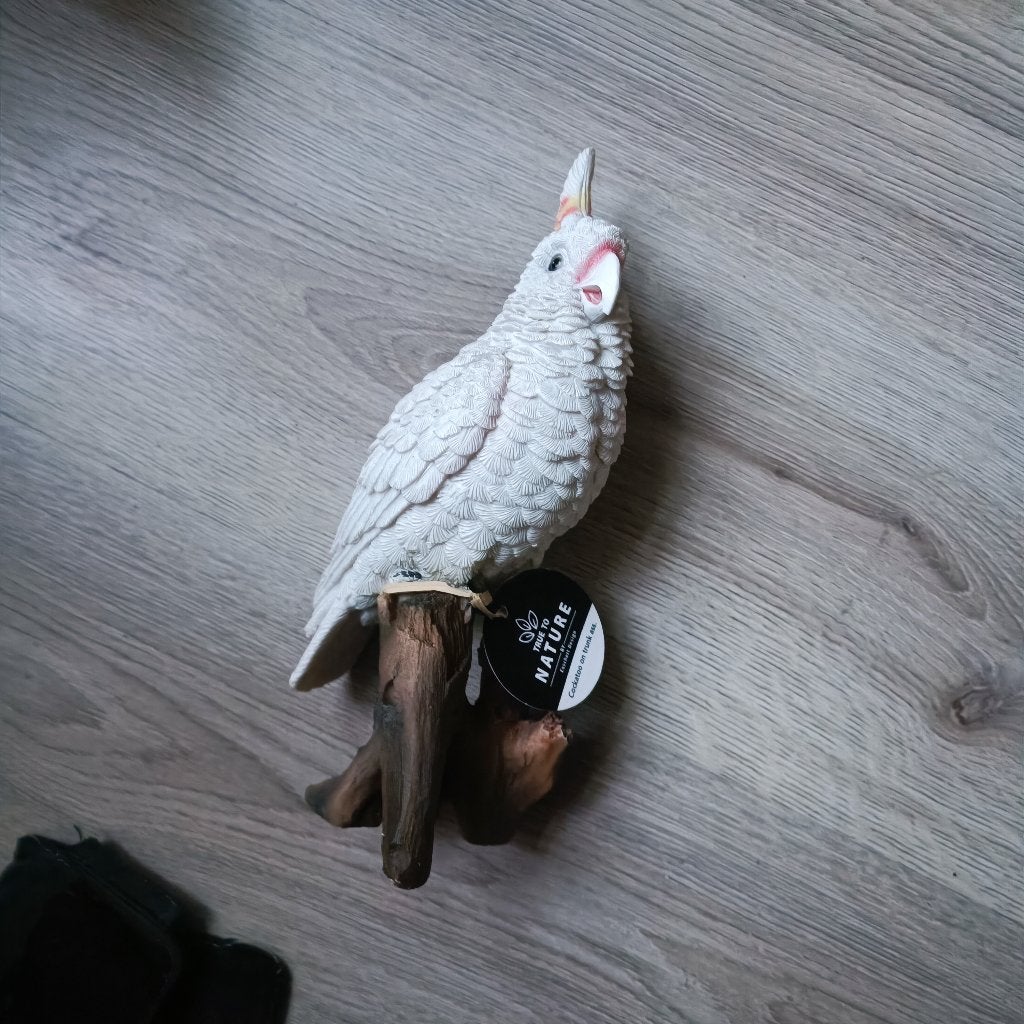 beeld kaketoe zie foto lees beschrijving, Ophalen of Verzenden, Nieuw, Dier