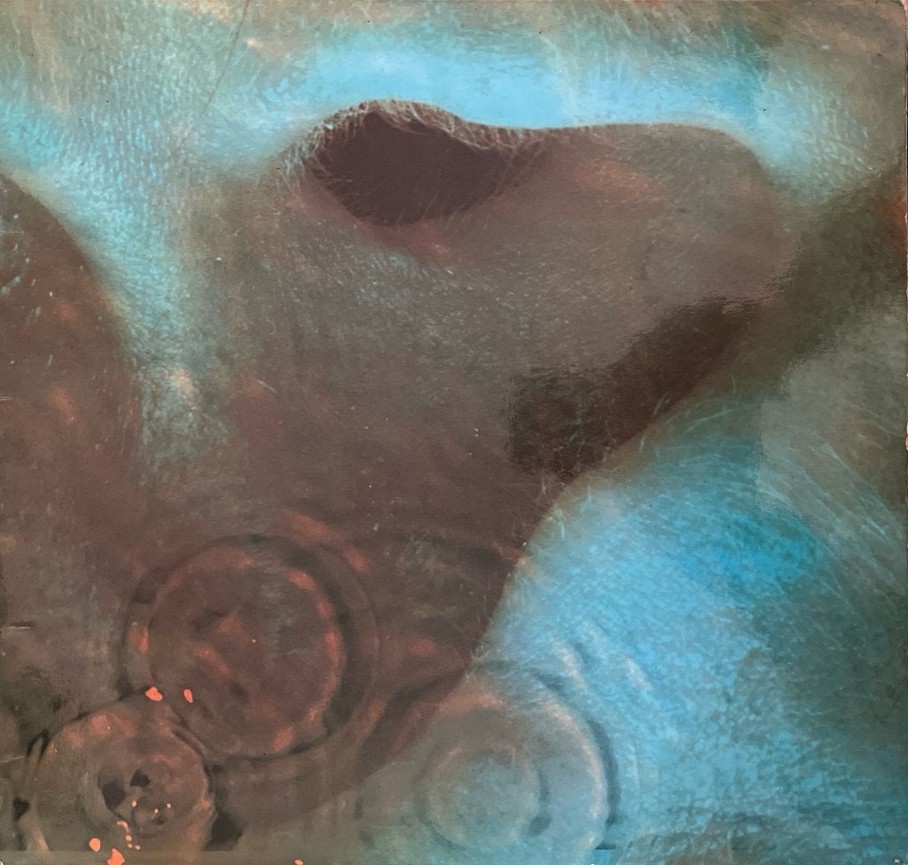 Pink Floyd - Meddle, LP, Ophalen of Verzenden, 12 inch, Poprock