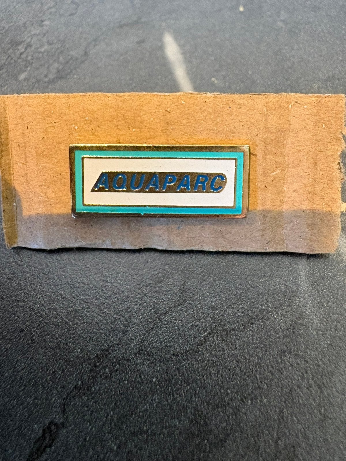 Pin Aquapark, Verzenden, Zo goed als nieuw, Overige onderwerpen, Speldje of Pin