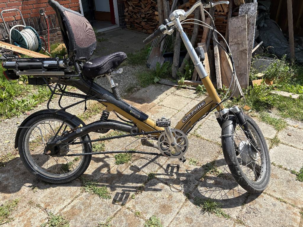 gazelle easy glider    electrisch, Ophalen, Gebruikt, 30 tot 50 km per accu, Gazelle