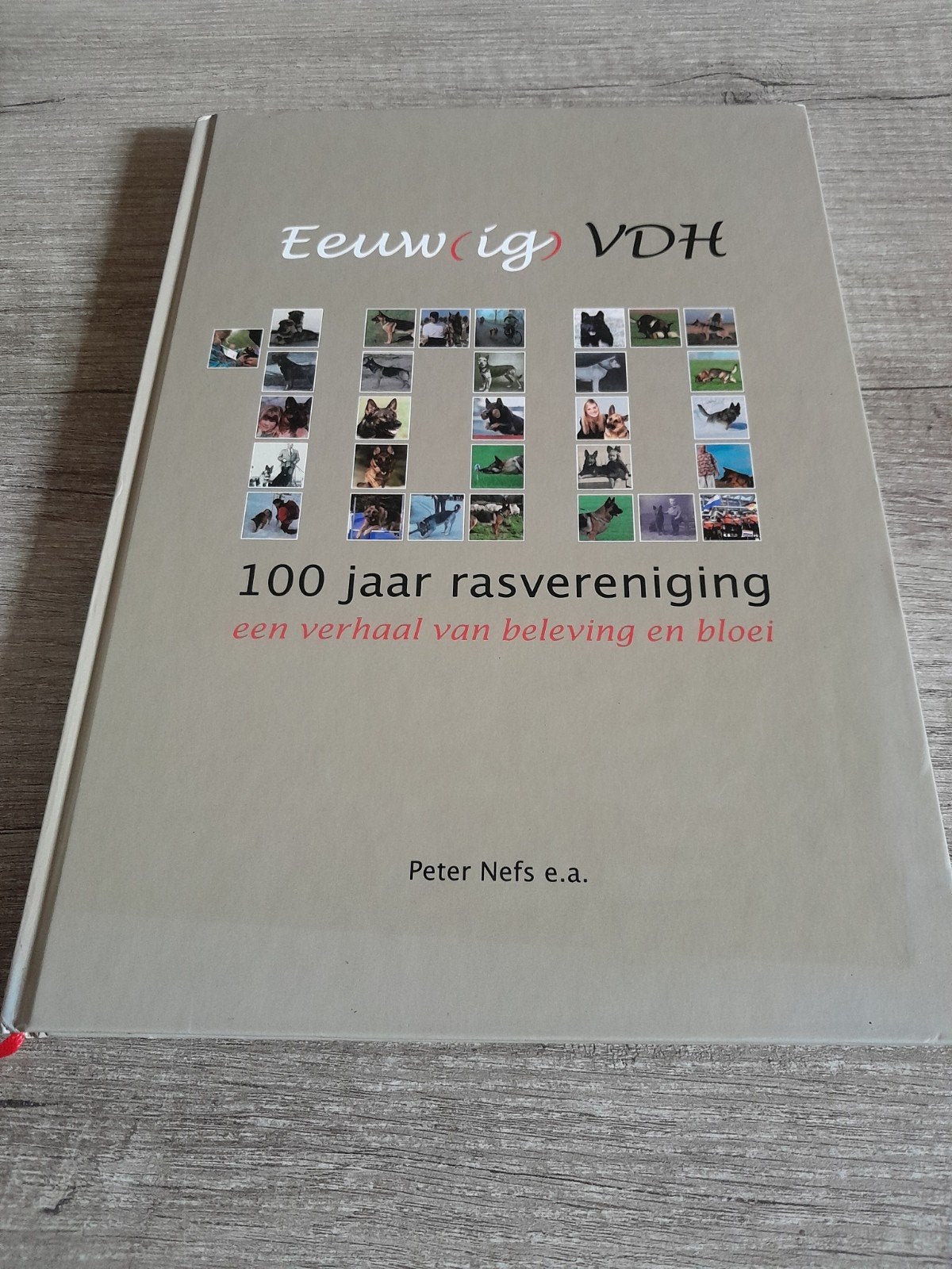 Eeuwig VDH: 100 jaar rasvereniging - Peter Nefs e.a., Ophalen of Verzenden