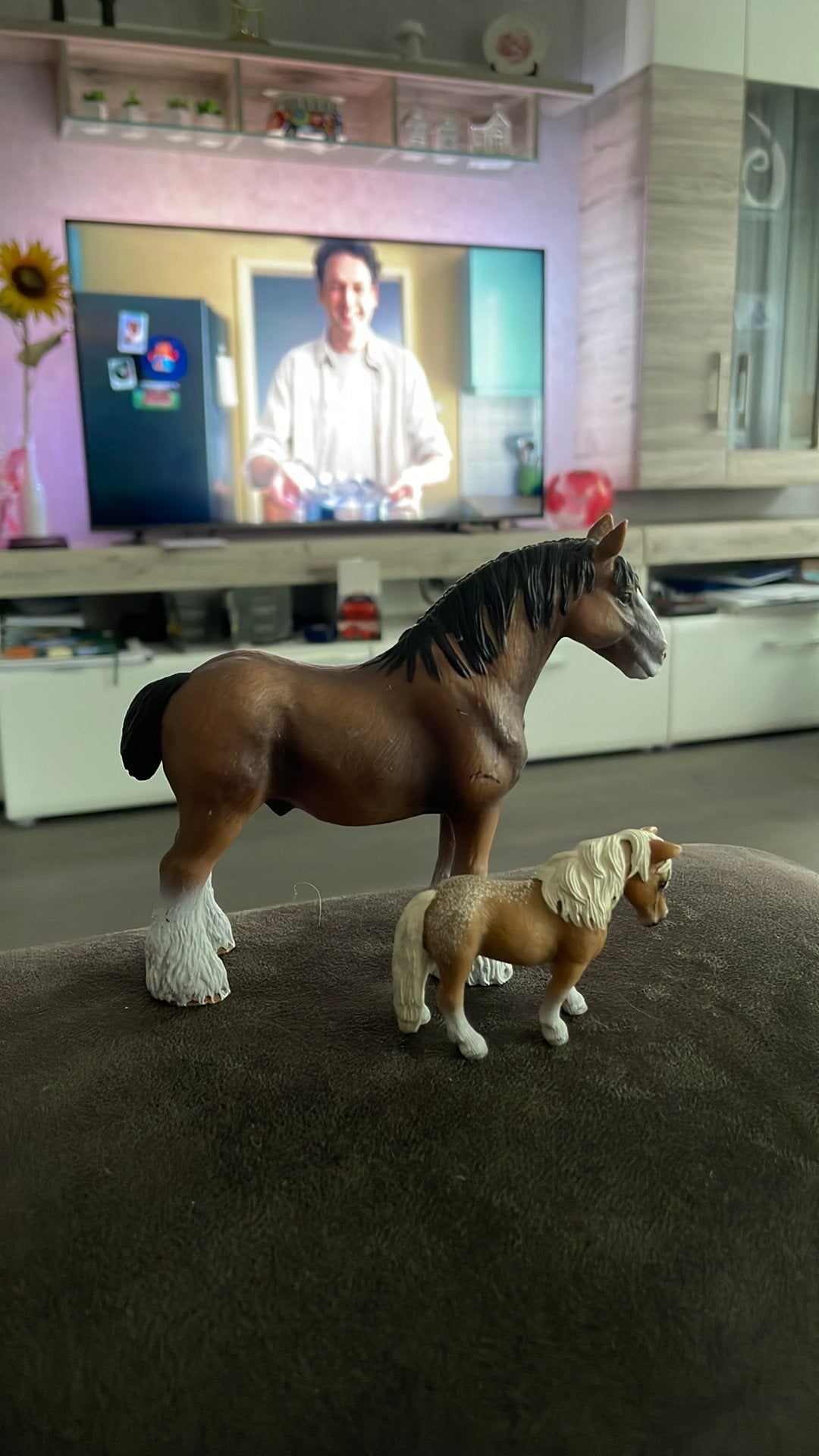 Schleich paarden, Ophalen of Verzenden, Zo goed als nieuw, Paard, Beeldje of Figuurtje