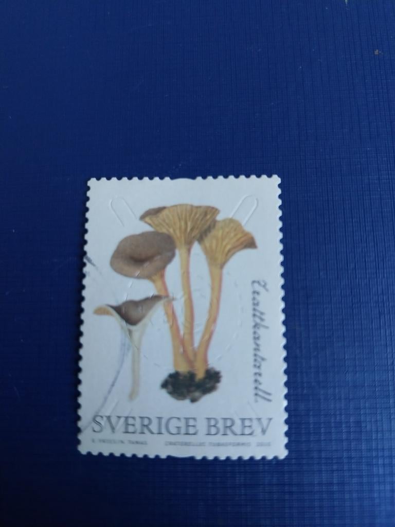 Zweden swam 2, Ophalen of Verzenden, Zweden