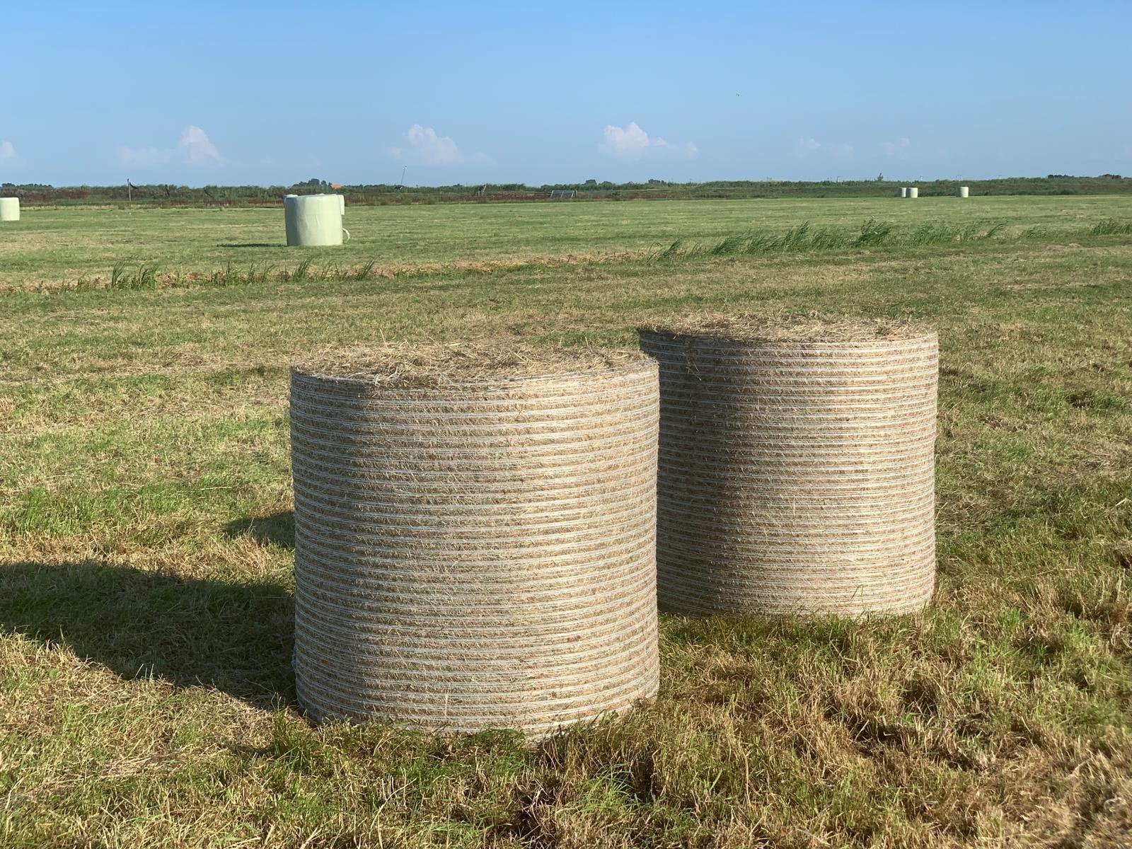 Te koop: Midibalen natuurhooi – 1e snee, Dieren en Toebehoren, Ophalen, Vee