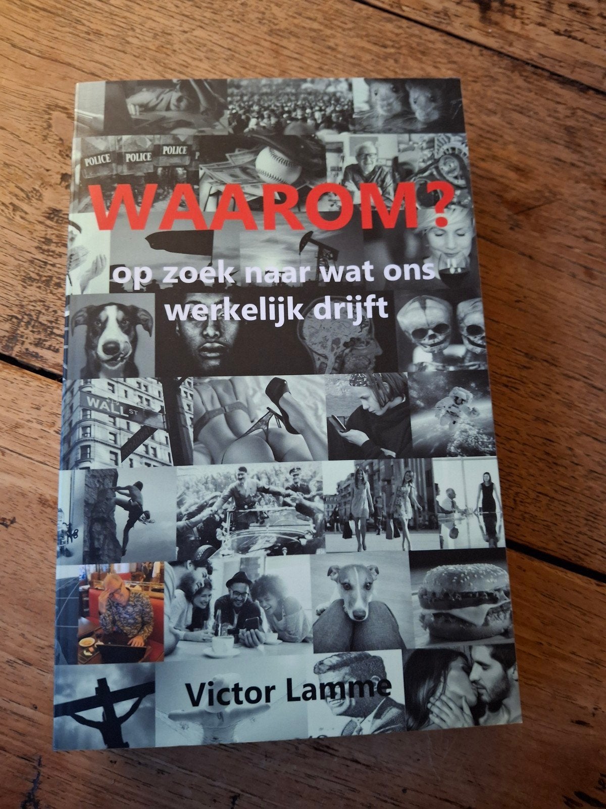 Victor Lamme - Waarom, Ophalen of Verzenden, Zo goed als nieuw, Victor Lamme