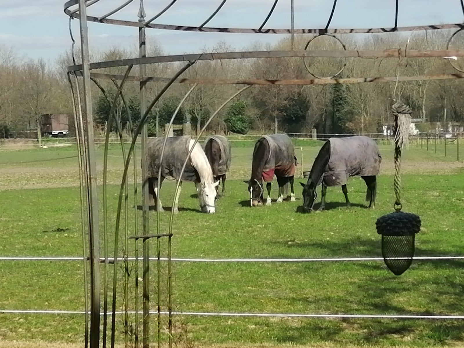 Rustige, kleinschalige privé pensionstal met veel weidegang, Stalling, 1 paard of pony